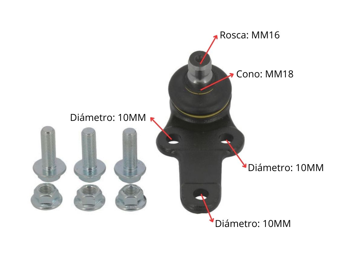 Rotula Ford Focus 98-05 Der/Izq