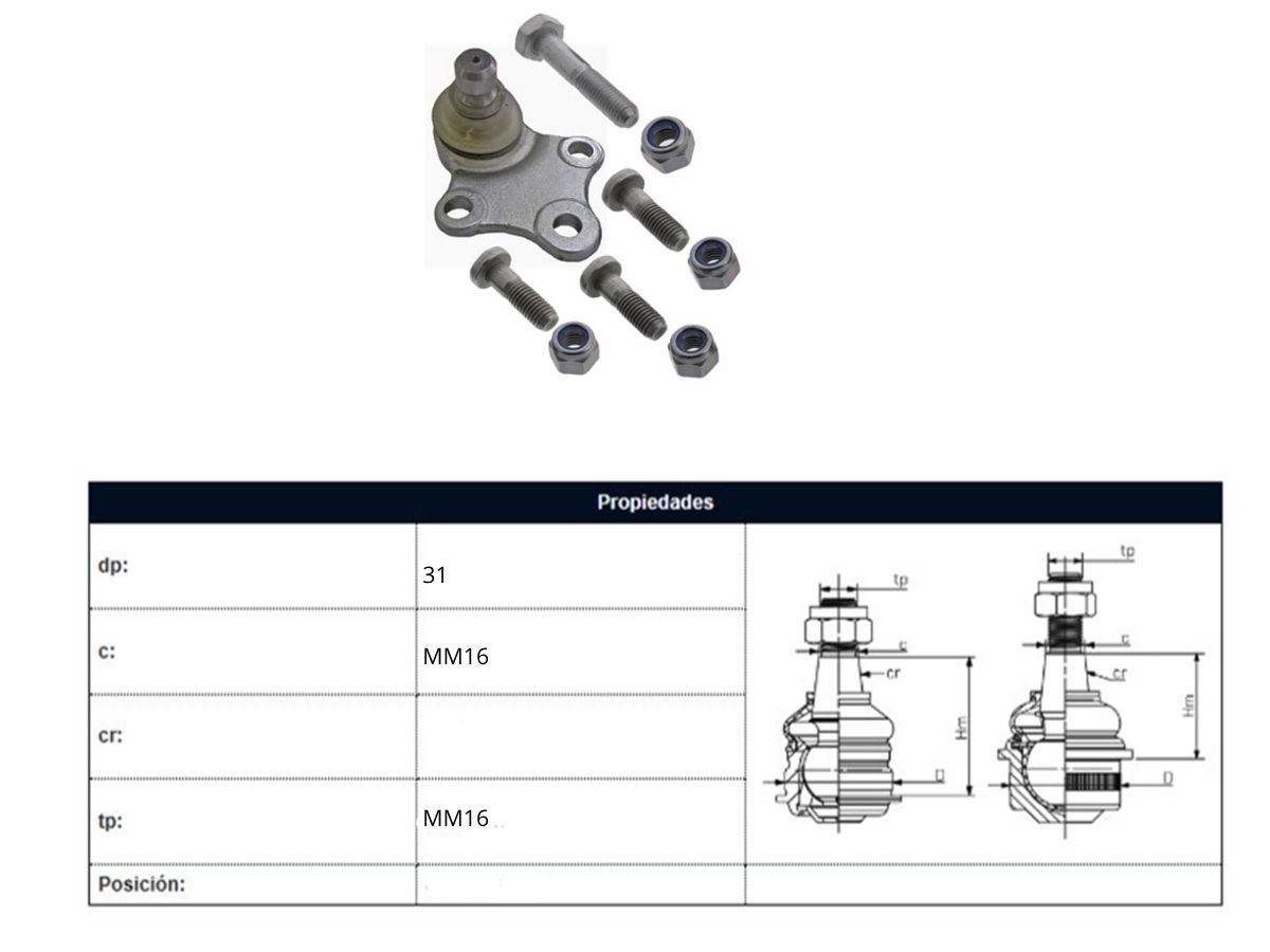 Rotula Del  Citroen Xsara/Zx/Xsara Break  Peug Partner/306  Sma C52/C81 93-25 Der/Izq
